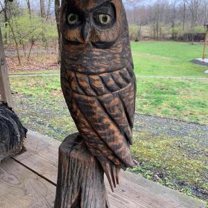 Photo of Chainsaw Carved Wood Owl Statute
