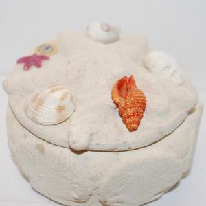 Photo of Sand Plaster Trinket Box with Real Shell Accents 4" Diameter