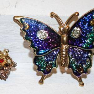 Photo of Butterfly Pin (1½" x 1") & Cuckoo Clock Pin (½" x ¼")--Set of 2