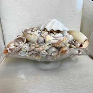 Photo of 1124 Large Collection of Sea Shells & Pedestal Bowl