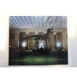 Photo of Godzilla 3-D Collectable card