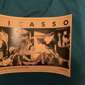 Photo of Pablo Picasso Print Poster