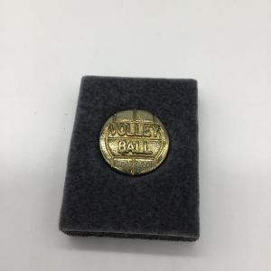 Photo of Volleyball pin