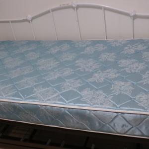 Photo of TRUNDLE BED/DAY BED- 2 BEDS IN ONE