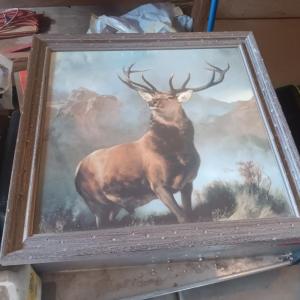 Photo of FRAMED PICTURE OF AN ELK