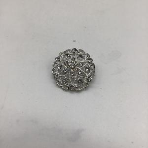Photo of Beautiful shiny pin