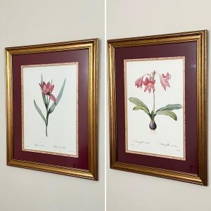 Photo of Pair (2) Framed Floral Prints