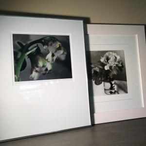 Photo of LOT 87D: Framed Photography incl. Signed & Numbered M. Parker Coly (2/30)
