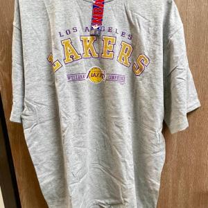 Photo of LA Lakers Western Conference Gray T-Shirt