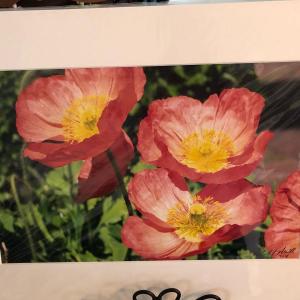 Photo of Sale in Andover🌷