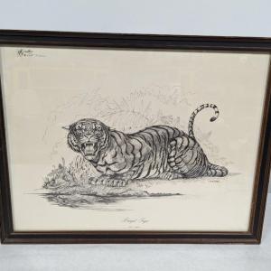 Photo of Framed W. D. Gaither Bengal Tiger Print 23 1/2" x 18"