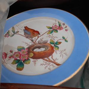 Photo of Bird Plate 
