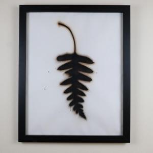 Photo of Brian Borrello "Fern, No. 1" Charcoal, India Ink, Motor Oil on Paper