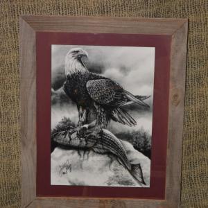 Photo of Rustic Pine Framed Print by Jesse Ray Eagle's Catch Wildlife Sketches