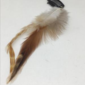 Photo of Feather hair accessories