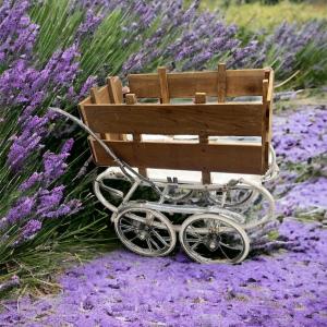 Photo of Antique repurposed pram - to a garden cart