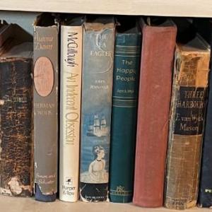 Photo of Lot of 20 books