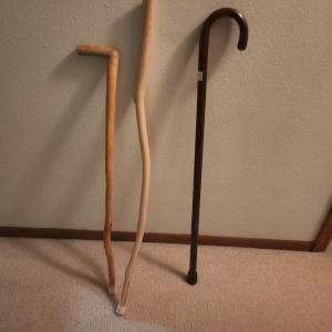 Photo of Walking sticks