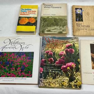 Photo of 6 Vintage Books on Wildflowers - book lot - Audubon, hardcovers, softcovers