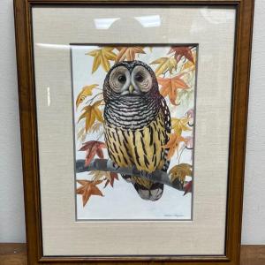 Photo of Framed Art Owl in tree by William F Pyburn 17 x 22 inches
