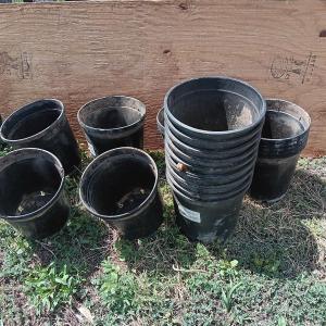 Photo of Variety of one gallon - heavy duty black Garden tubs Great for vegetable plants!