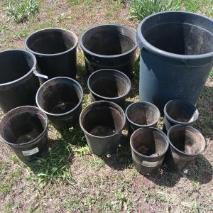 Photo of Variety of different sized small - large flowerpots - heavy duty black Garden tu