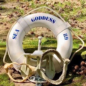 Photo of LOT 74: Anchors Away - Sea Goddess Trump Marina Life Preserver, 15lb Anchor and 