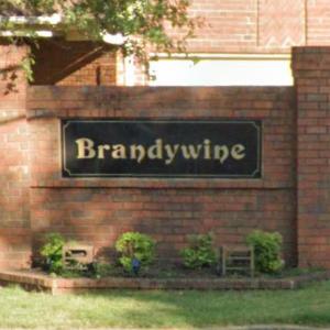 Photo of Brandywine Subdivision Annual neighborhood yard sale