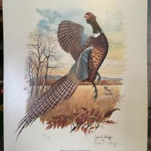 Photo of (Lot of 67 Pieces) Ring-Neck Pheasant Pencil Signed by Jules E. SCHEFFER (Americ