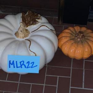 Photo of MLR22- Pumpkin Decor
