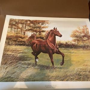 Photo of "Running Free" Print Signed McDonald, Signed and Numbered