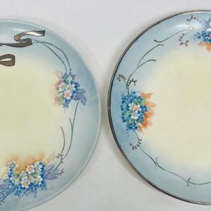 Photo of Lot of 2 large dinner size Bavarian China plates