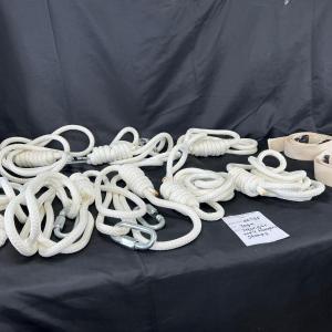Photo of Iyengar long and short wall straps