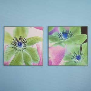 Photo of LOT 32: Set of 2 Floral Prints by Photographer Alan Blaustein Laminated on Wood