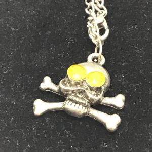 Photo of Skull head and bones necklace