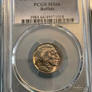 Photo of PCGS Certified 1938-D MS66 Golden Toned Top of Roll Buffalo Nickel.