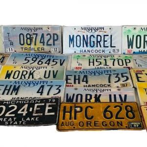 Photo of License Plate Collection