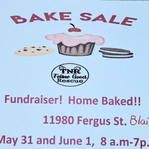 Photo of Fundraiser Bake Sale
