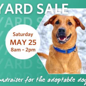 Photo of Yard Sale & Bake Sale Fundraiser for the Adoptable Dogs
