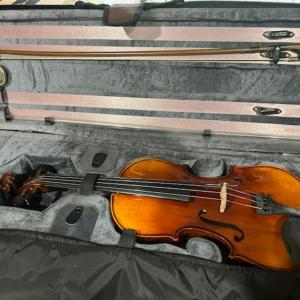 Photo of Gheorge Tirvana Violin