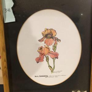 Photo of Framed Iris Print, Signed Robert R. Barnes and Dated 1994