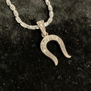 Photo of Lucky .925 Horseshoe Pendant with 14”-16” chain