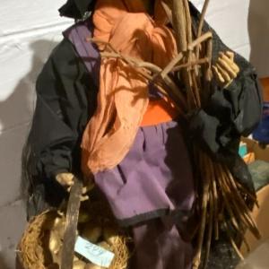 Photo of Halloween Witch Display