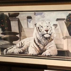 Photo of Framed Print of a White Tiger in the Garden, Signed Berry