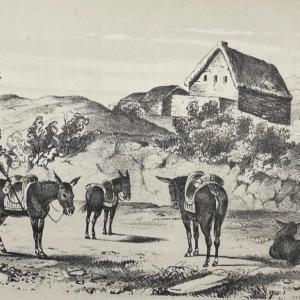 Photo of Wagner & McGuigan's Lith, Hacienda de Mayo