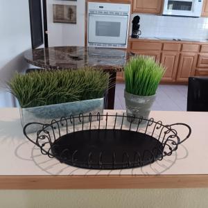 Photo of 2 FAUX PLANTS AND A METAL SERVING TRAY