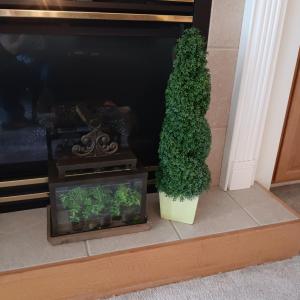 Photo of FAUX BUSH AND FOLIAGE IN A LIGHTED GLASS AND METAL TERRARIUM