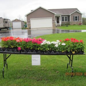 Photo of annual garage sale and Flowers rain or shine