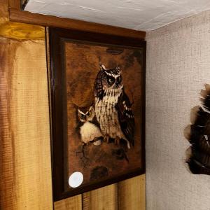 Photo of Vintage Owl Wall Decor