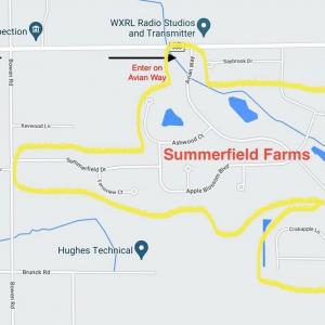 Photo of Summerfield Farms Annual Street Sale (directions below)